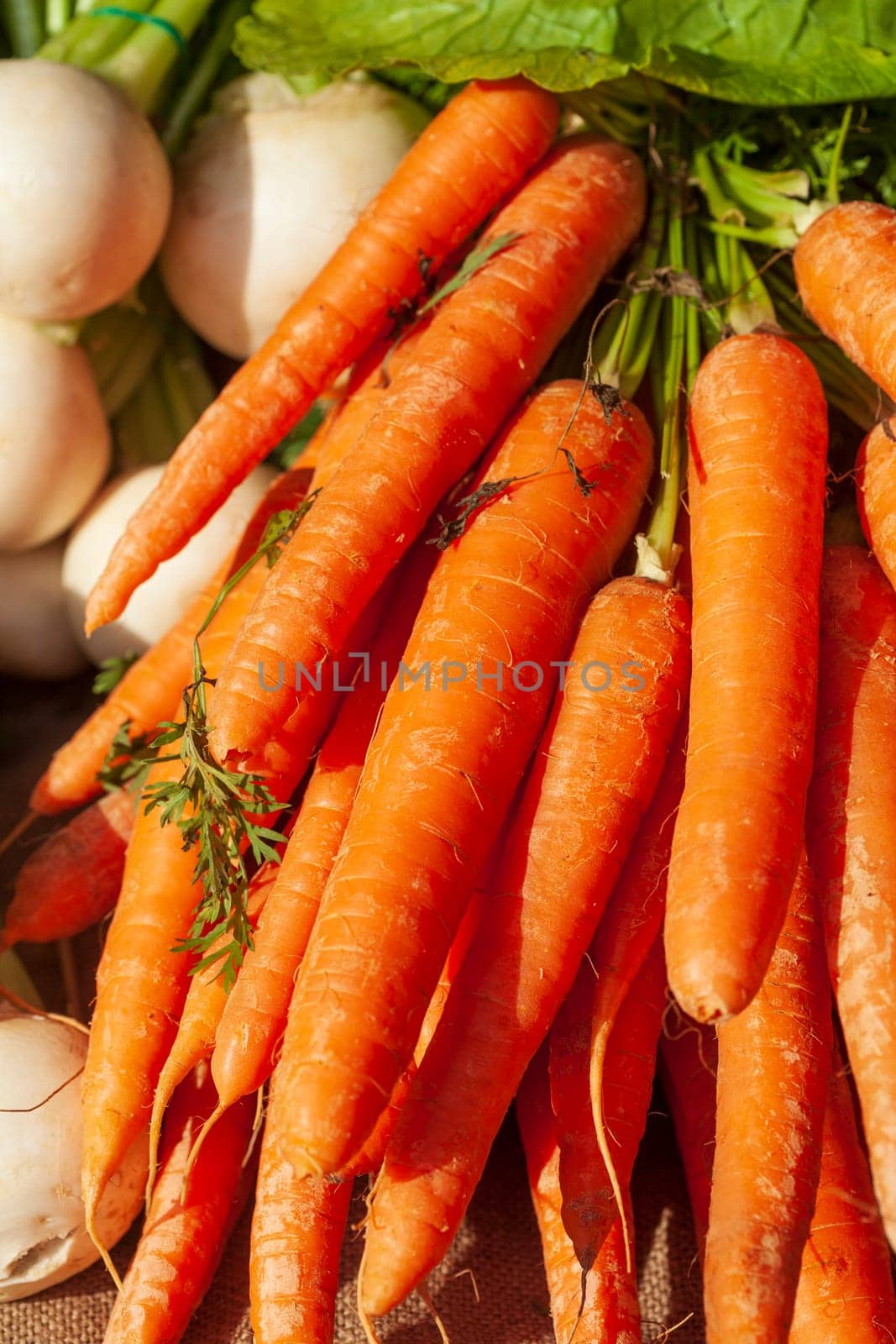 Carrots on a market stall, Germany