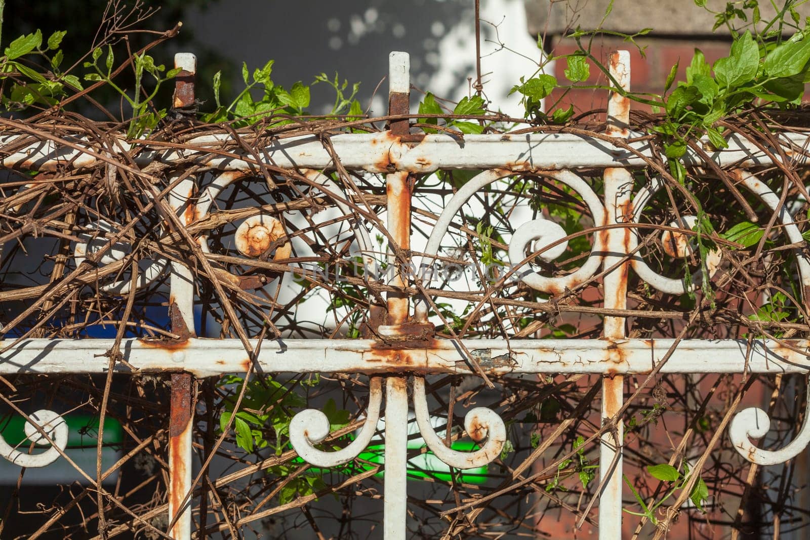 Old decorated cast iron garden fence, Germany
