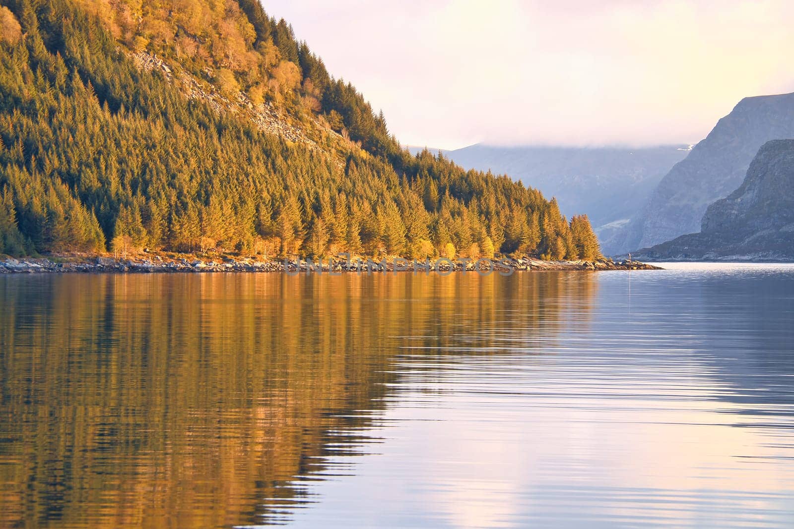 Fjord with mountains on horizon. Small cottages on the coast between stones, trees and meadow. Water glistens in the sun in Norway. Landscape photo