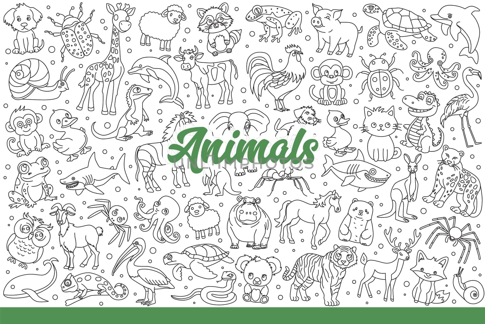 Wild animals and insects or reptiles living in forest near marine creatures swimming in sea. Evil and good animals inhabiting different countries and climates or zoos. Hand drawn doodle
