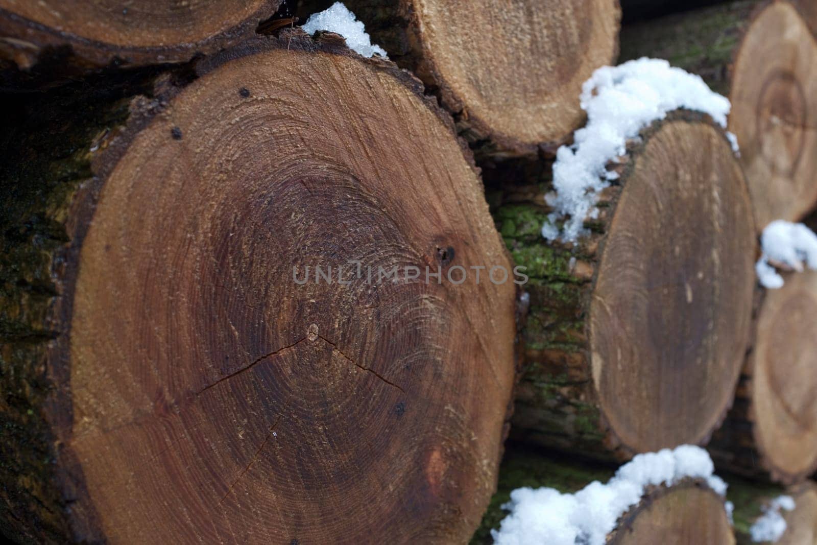 Wall of stacked wood logs as background. Pile of wood logs ready for winter. Round wooden stumps, texture background. Firewood stacked and prepared for winter. Woodpile. forestry industry