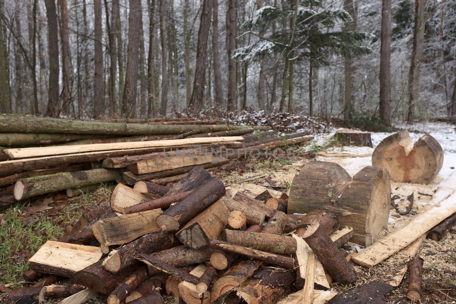 Lumberjack chopped the tree trunks for firewood. The texture of cut wood. Natural chopped wood.