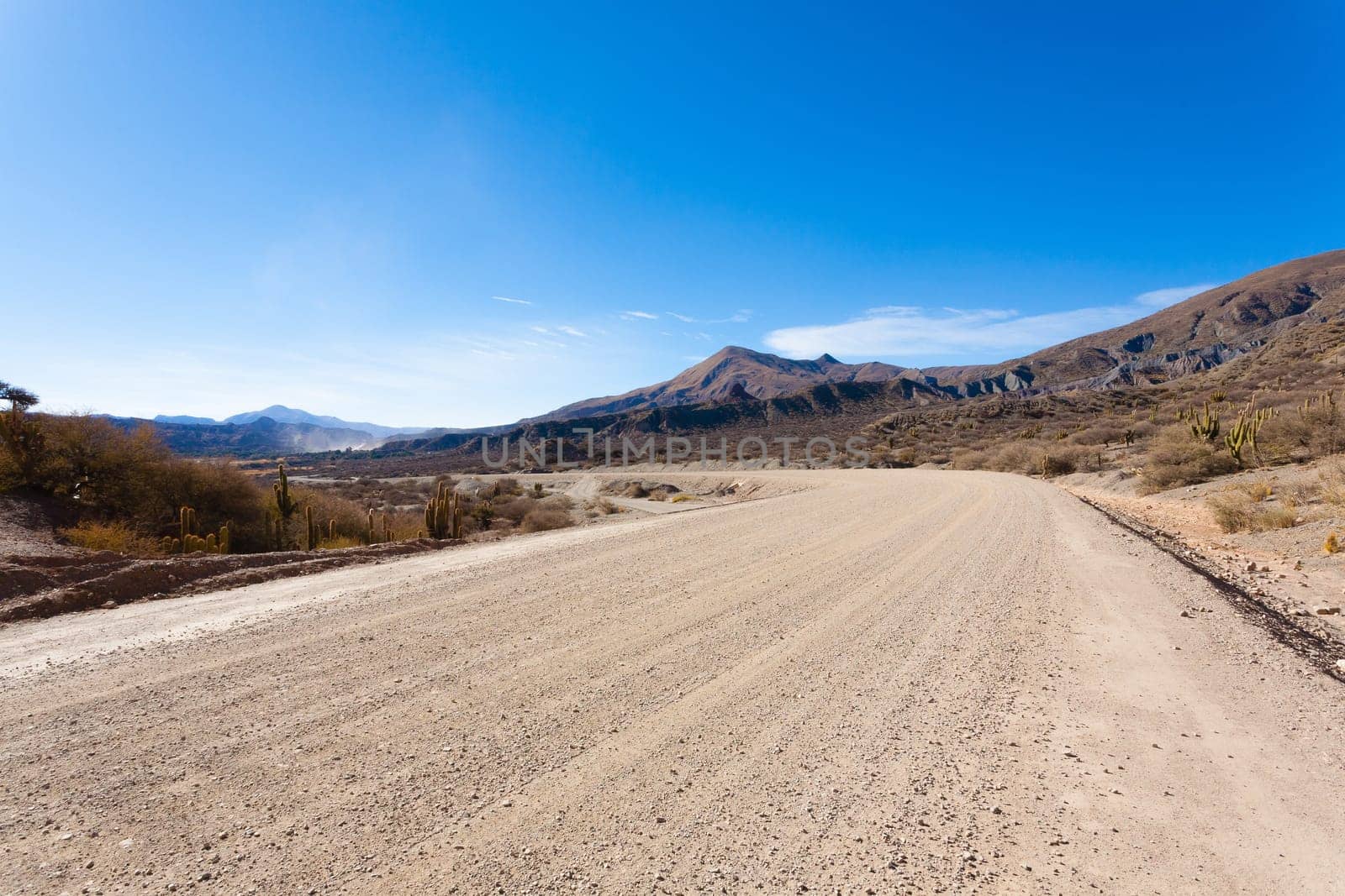 Bolivian dirt road view near Tupiza,Bolivia.Quebrada de Palmira area.Bolivian landscape