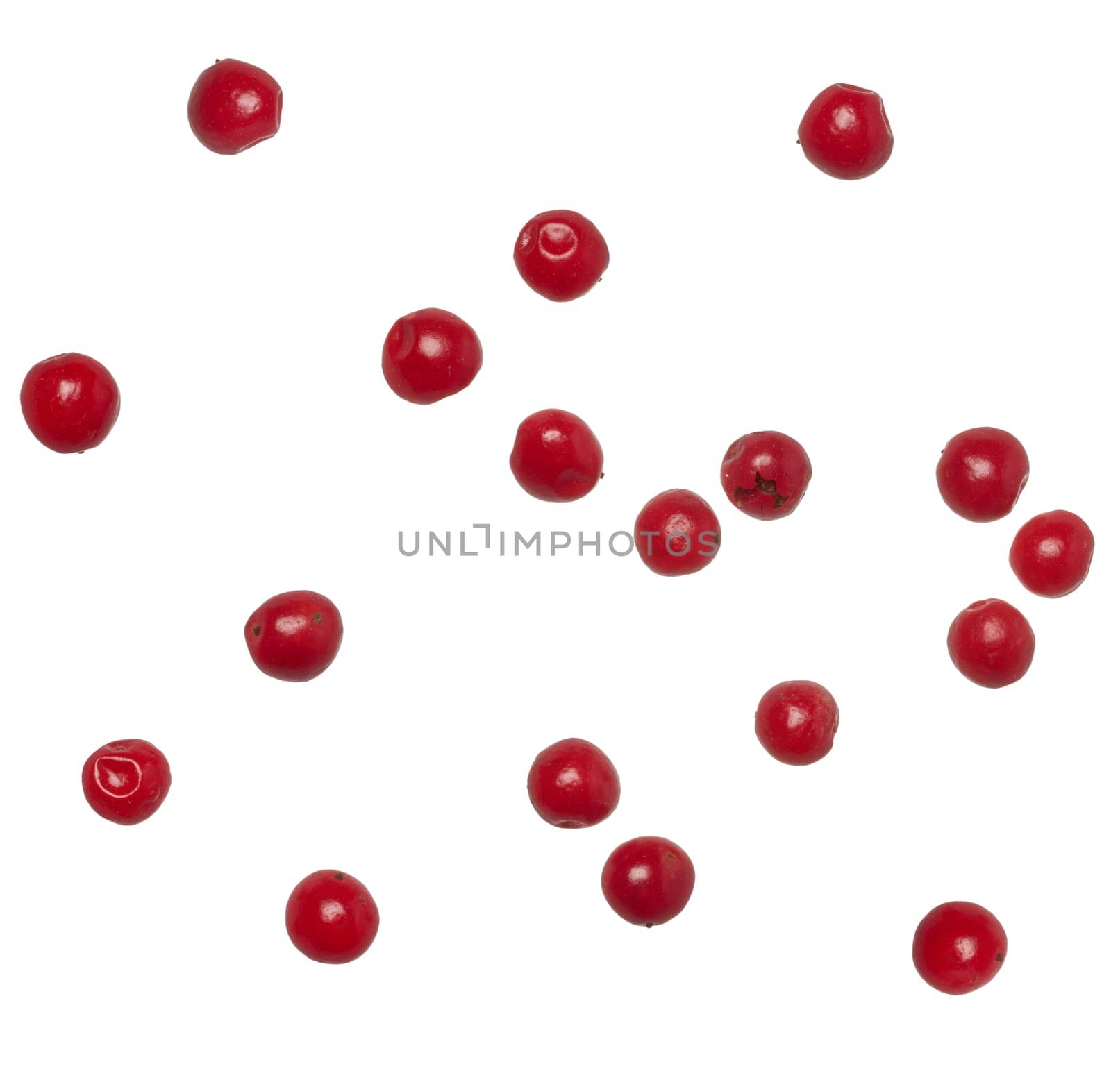 Red peppercorns scattered on isolated background, close up