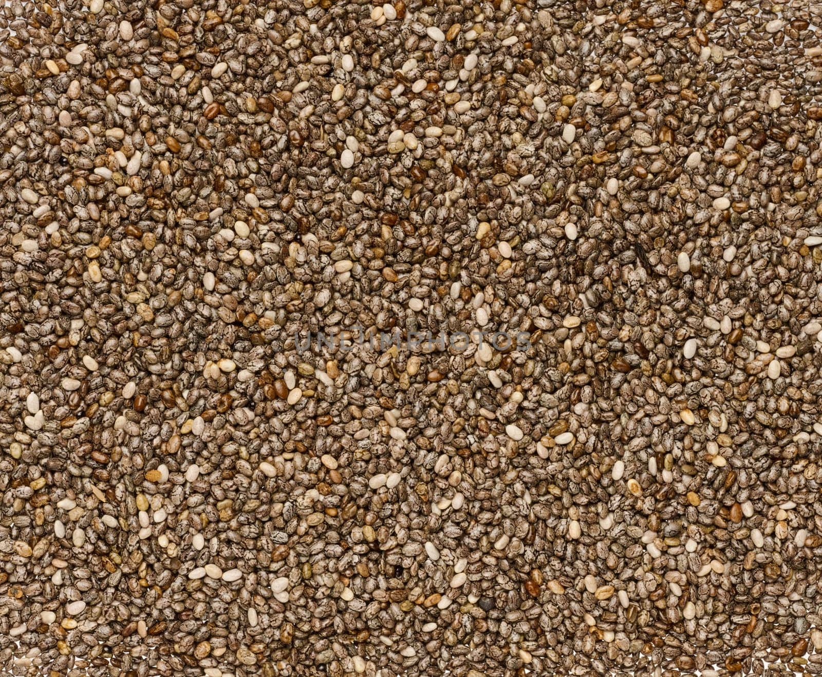Chia seeds scattered in a heap, full frame. Close up