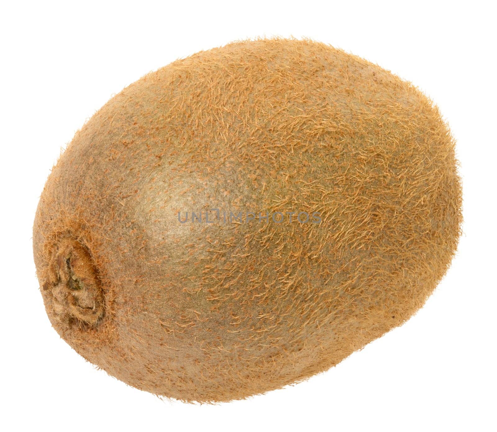 Whole kiwi fruit on isolated background, healthy food. Close up