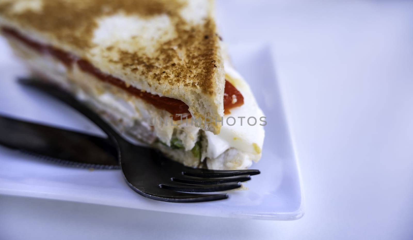 Detail of salty appetizer with toasted bread, food