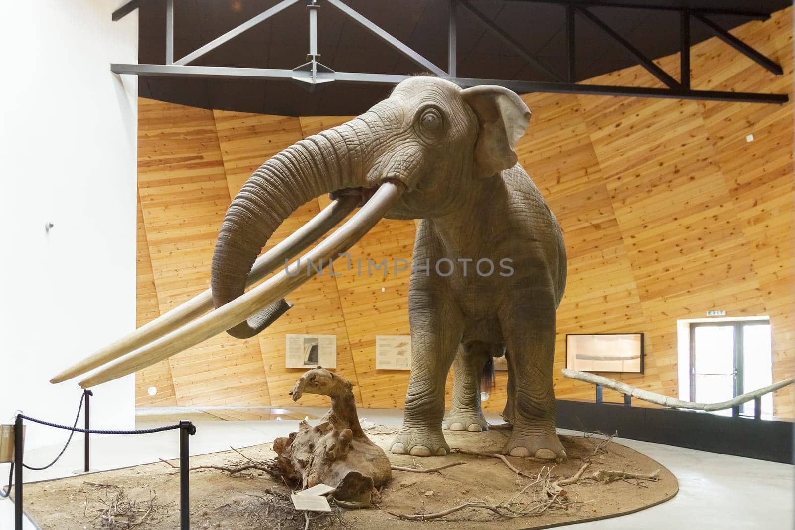 Pliocene Park in Dorkovo, Pazardzhik District, Bulgaria - October 5, 2019. A mammoth scale model of real mammoth. Remains of the animal have been found in the area of Dorkovo. Selective focus with shallow depth of field.