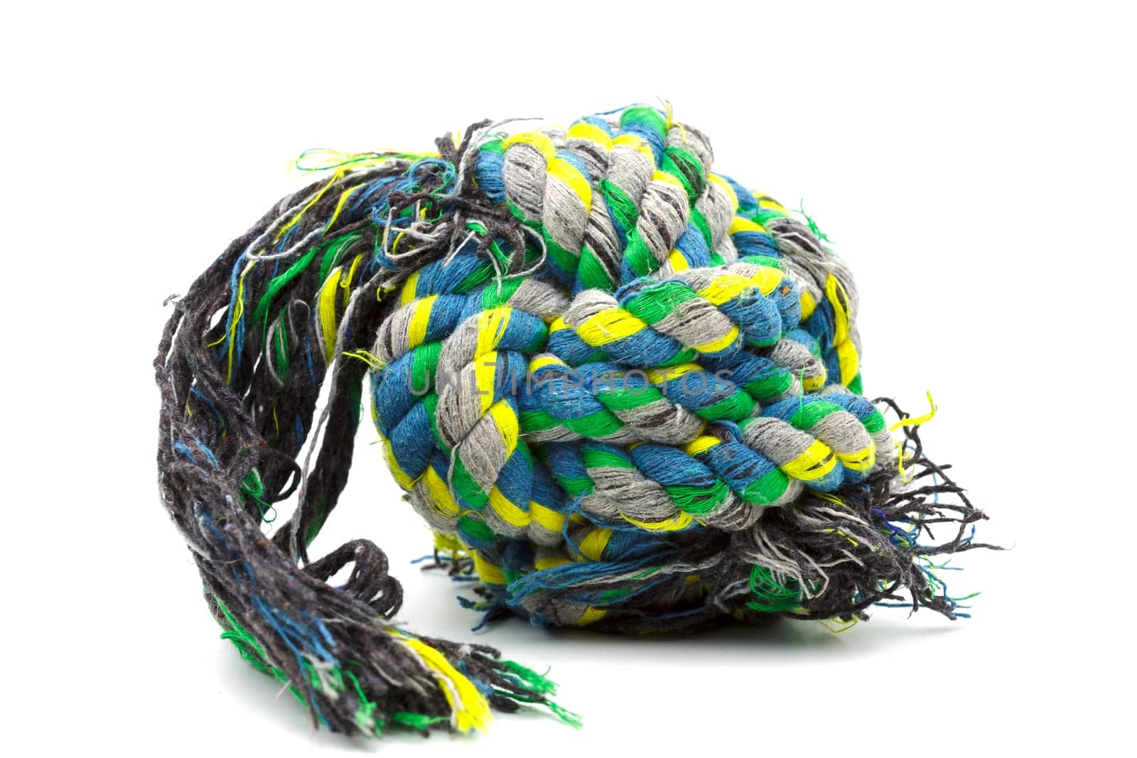 Used colorful rope knot for dog play.Selective focus with shallow depth of field.