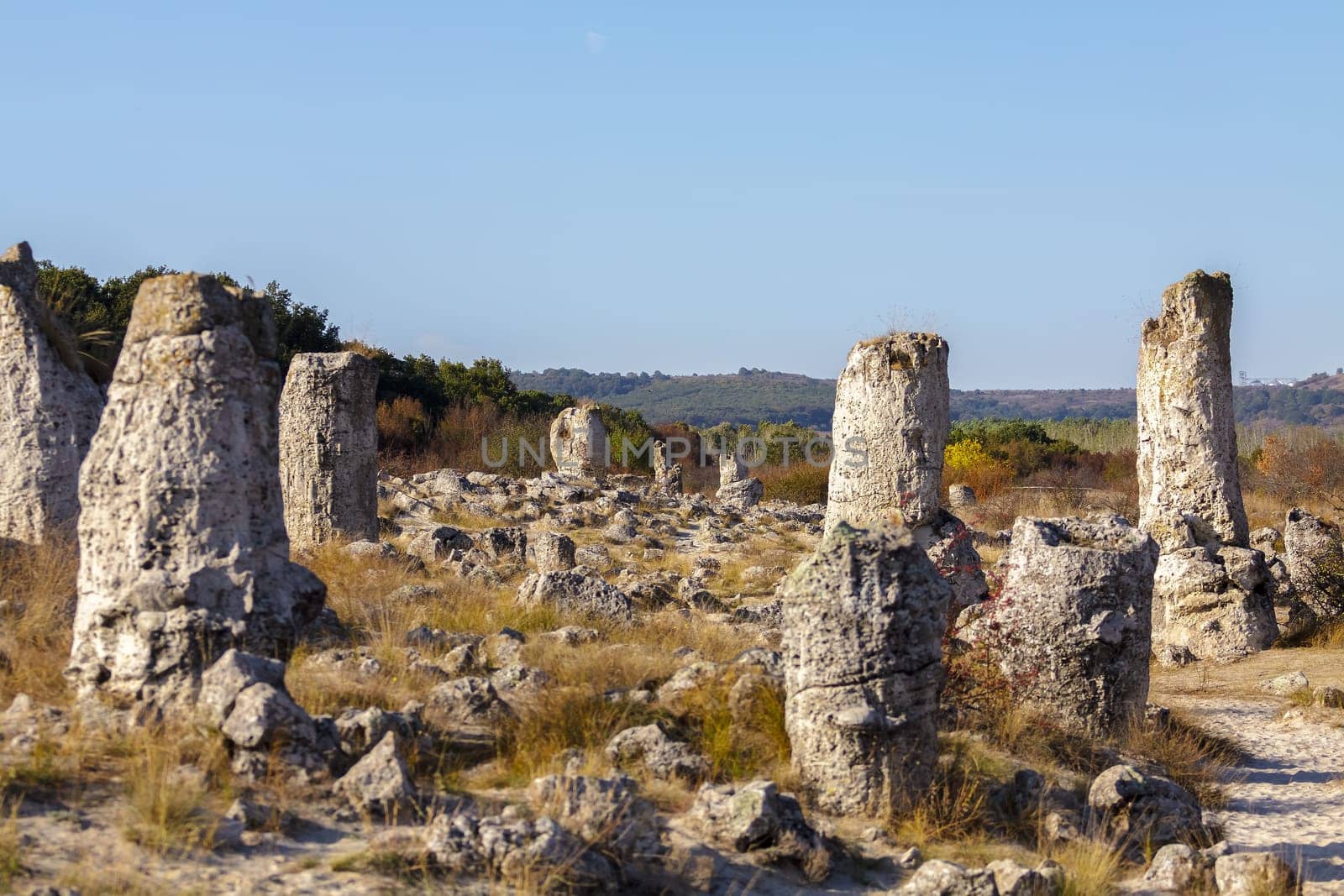 Natural rock phenomenon, Pobiti Kamani, Aksakovo Municipality, Varna District, Bulgaria. In the late afternoon.Selective focus with shallow depth of field.