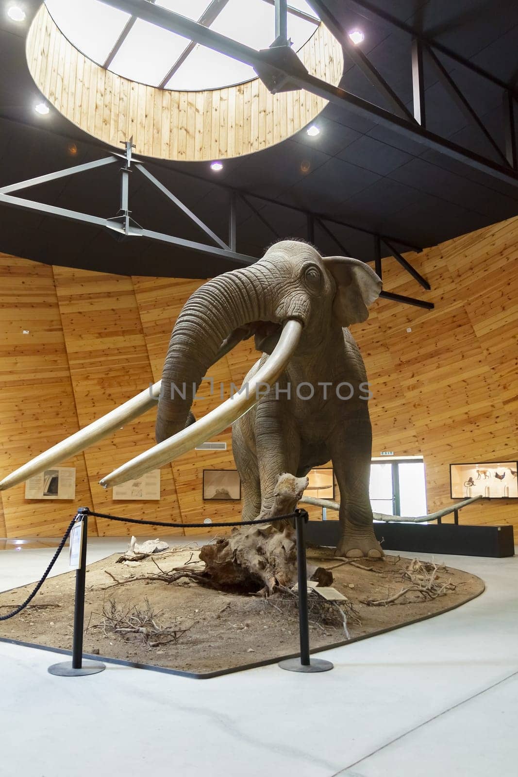 Pliocene Park in Dorkovo, Pazardzhik District, Bulgaria - October 5, 2019. A mammoth scale model of real mammoth. Remains of the animal have been found in the area of Dorkovo. Selective focus with shallow depth of field.