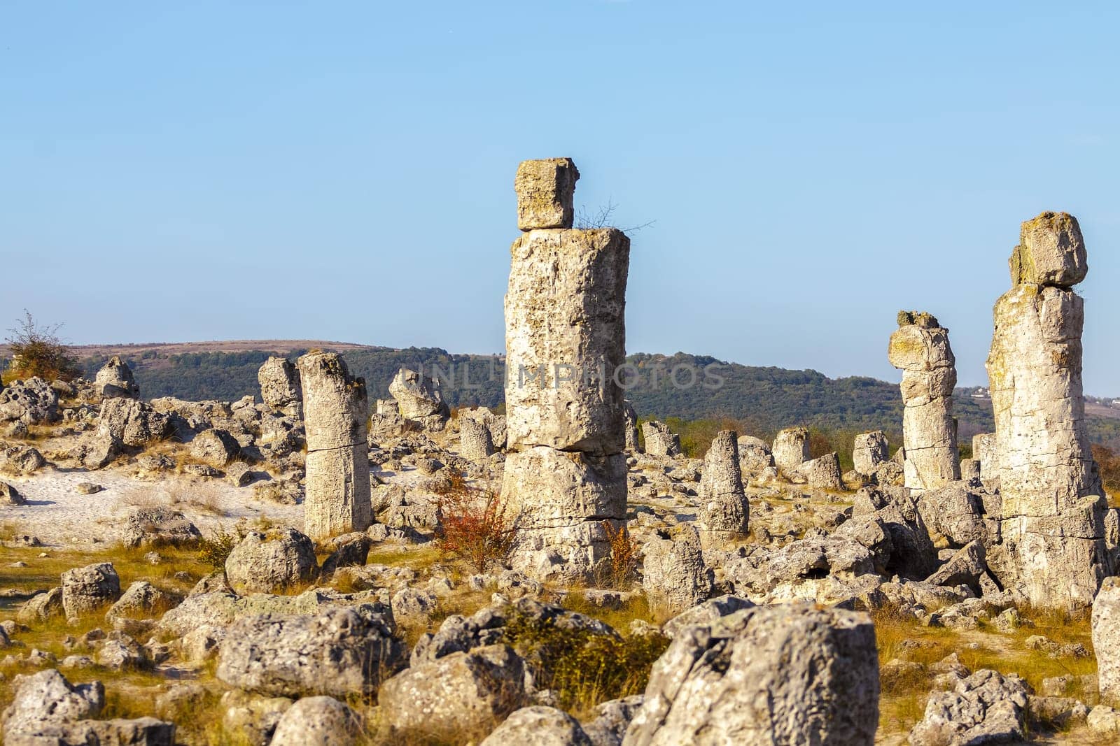 Natural rock phenomenon, Pobiti Kamani, Aksakovo Municipality, Varna District, Bulgaria. In the late afternoon.Selective focus with shallow depth of field.