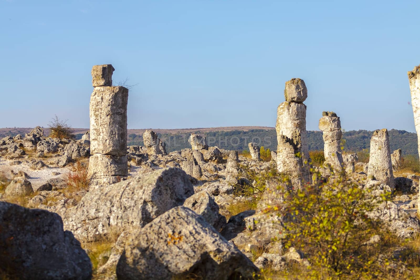 Natural rock phenomenon, Pobiti Kamani, Aksakovo Municipality, Varna District, Bulgaria. In the late afternoon.Selective focus with shallow depth of field.