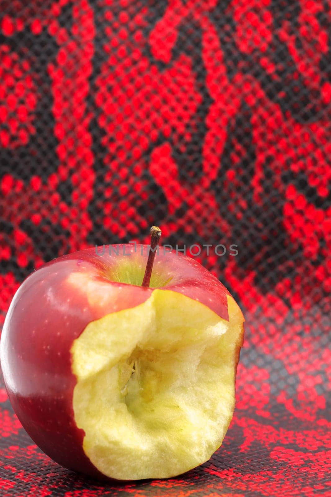Bitten red apple on red black snake skin - a stylized metaphor for "Original Sin"".Selective focus with shallow depth of field."
