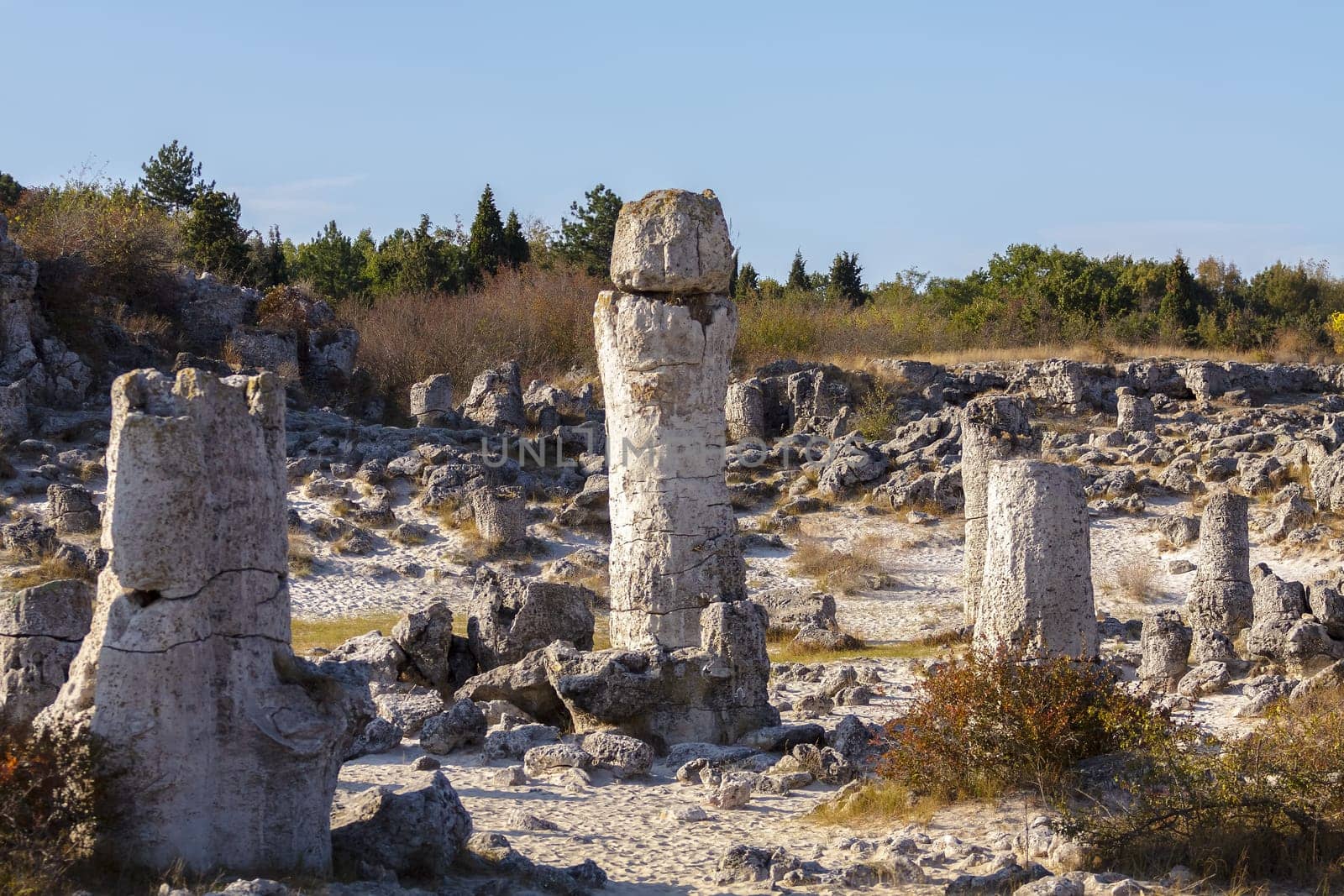 Natural rock phenomenon, Pobiti Kamani, Aksakovo Municipality, Varna District, Bulgaria. In the late afternoon.Selective focus with shallow depth of field.