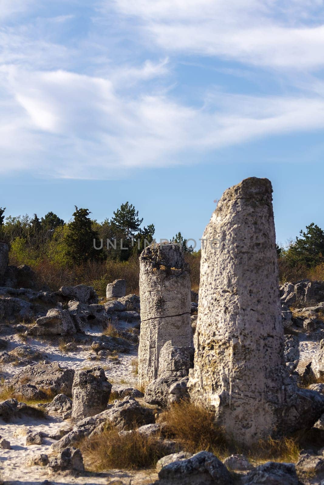Natural rock phenomenon, Pobiti Kamani, Aksakovo Municipality, Varna District, Bulgaria. In the late afternoon.Selective focus with shallow depth of field.