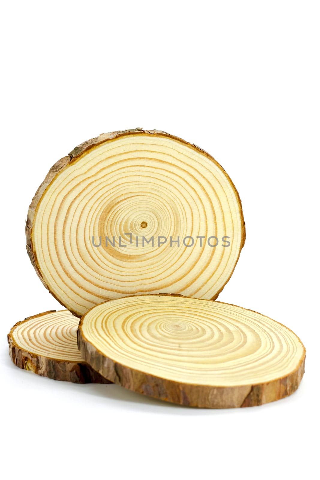 Three natural round wooden branches on a white background