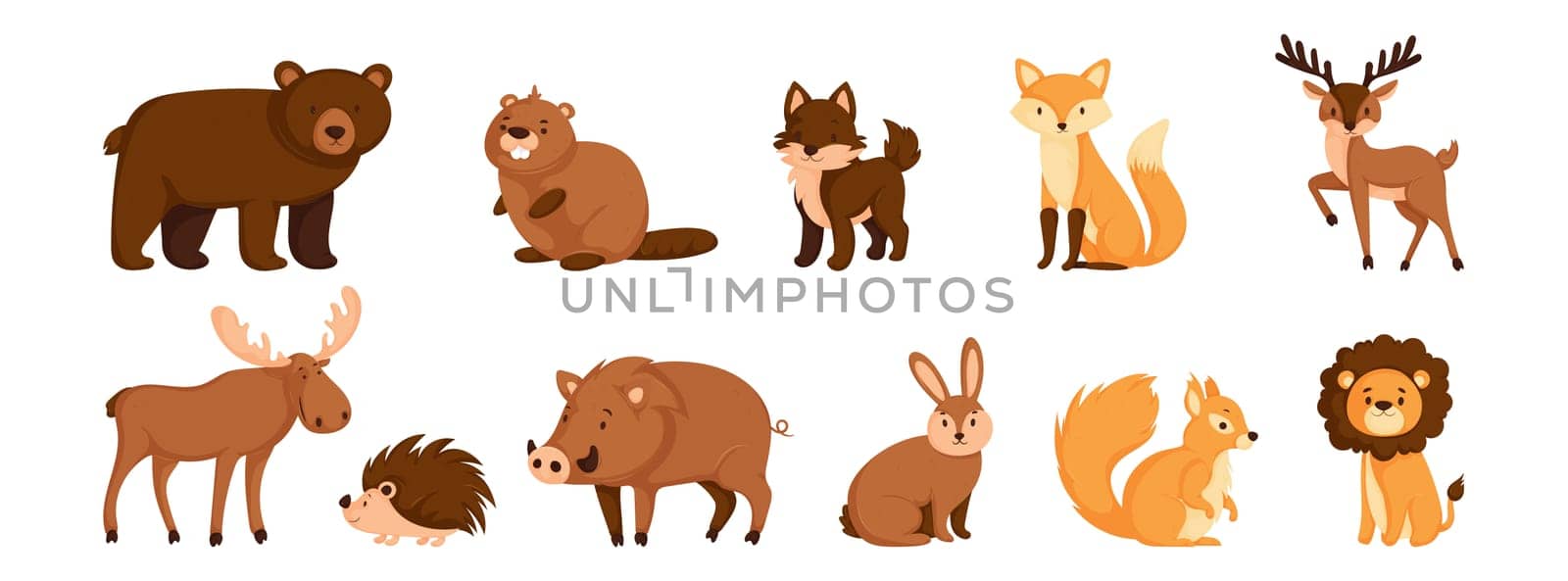 Squirrel, and Lion Illustrations for Stock Images