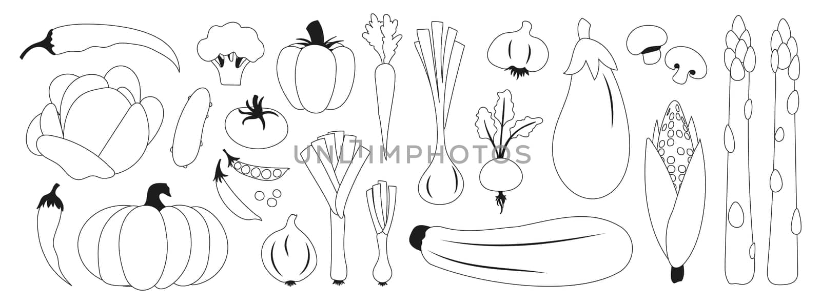 Fresh vegetables including asparagus, eggplant and corn. Onions, beets and pumpkin. Tomato, cucumber and pepper.