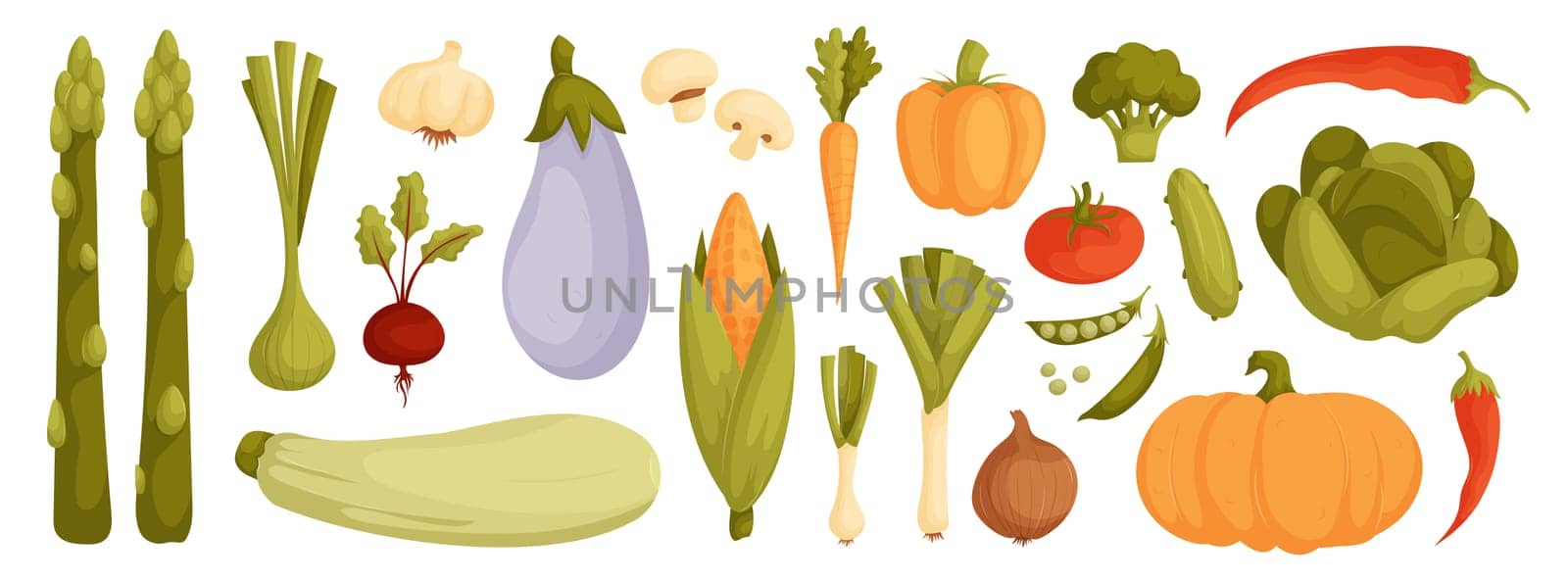 Colorful and Detailed Illustrations of Fresh Vegetables Including Asparagus, Eggplant, Corn, and More. Perfect for Healthy Eating Promotions and Educational Materials.