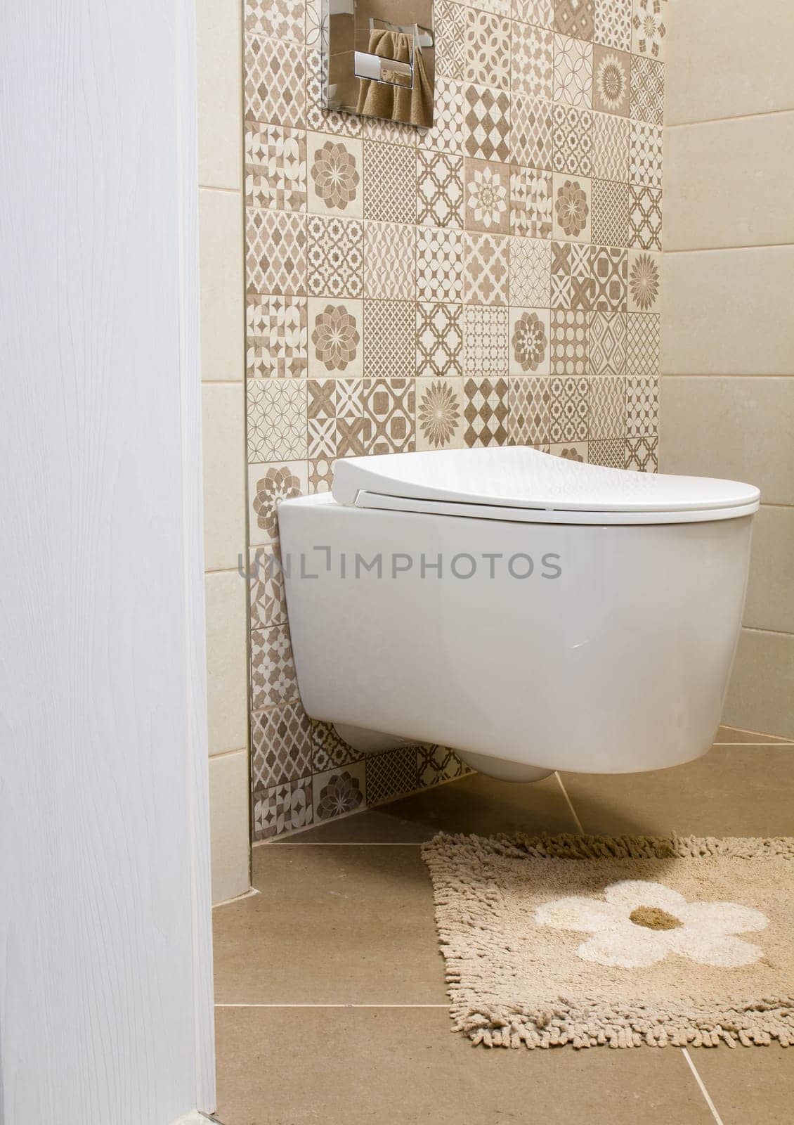 Detail of the interior of the toilet with stylish furnishings