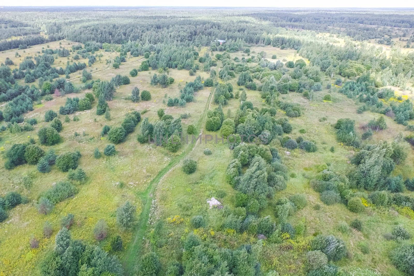Top view of the village, fields and forests near the village