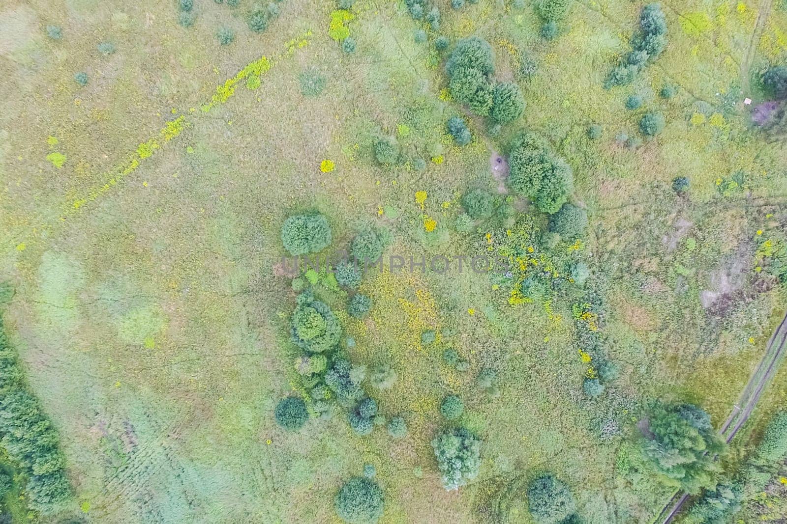Top view of the village, fields and forests near the village