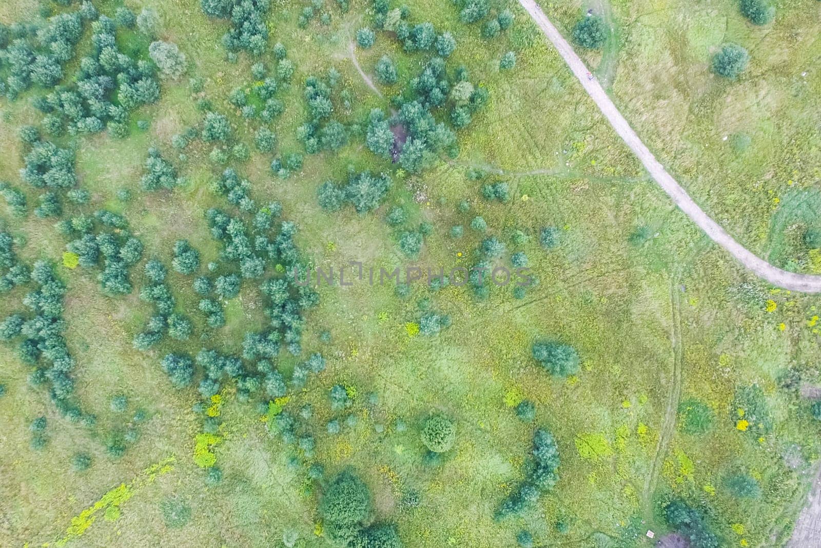 Top view of the village, fields and forests near the village