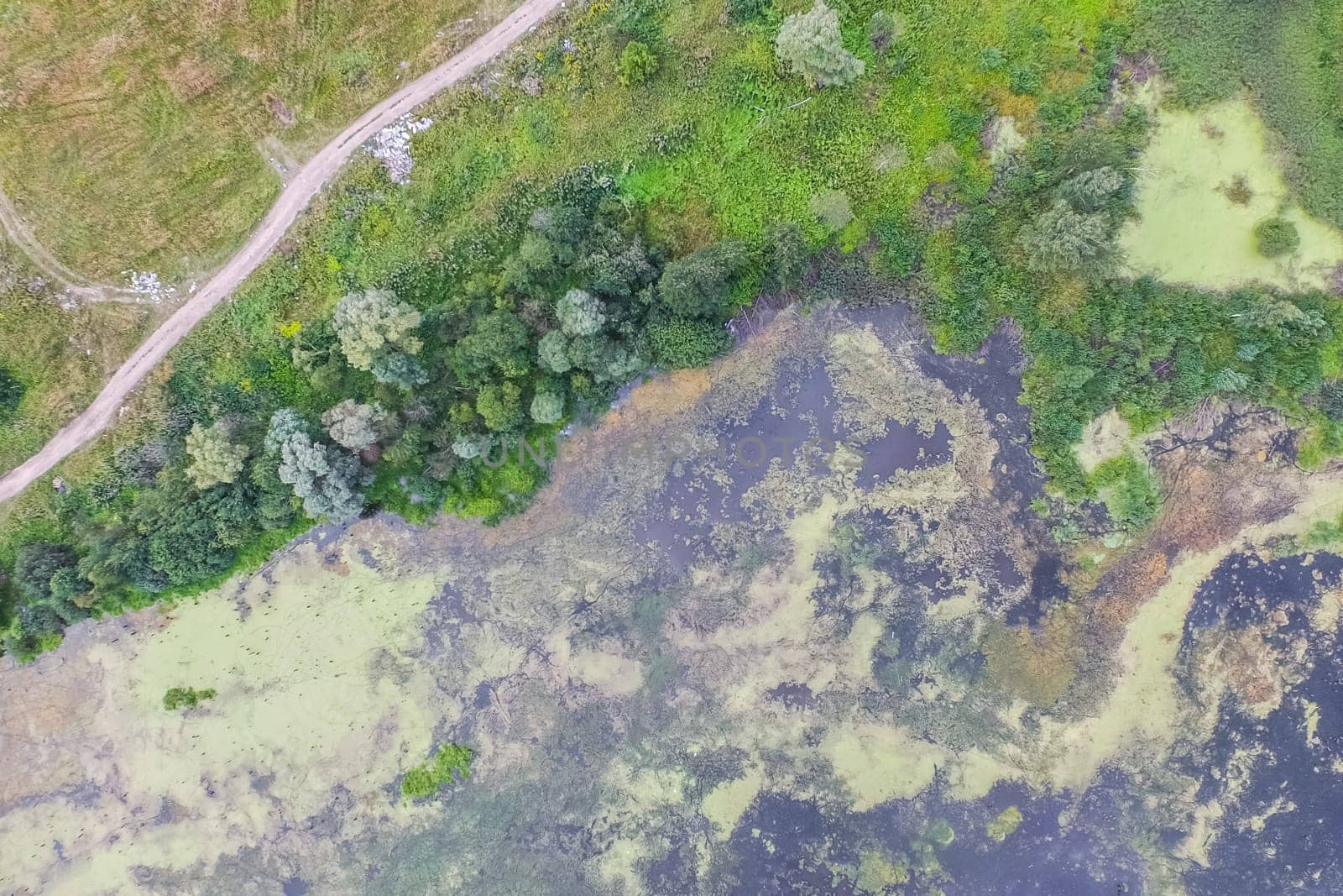Top view of the village, fields and forests near the village