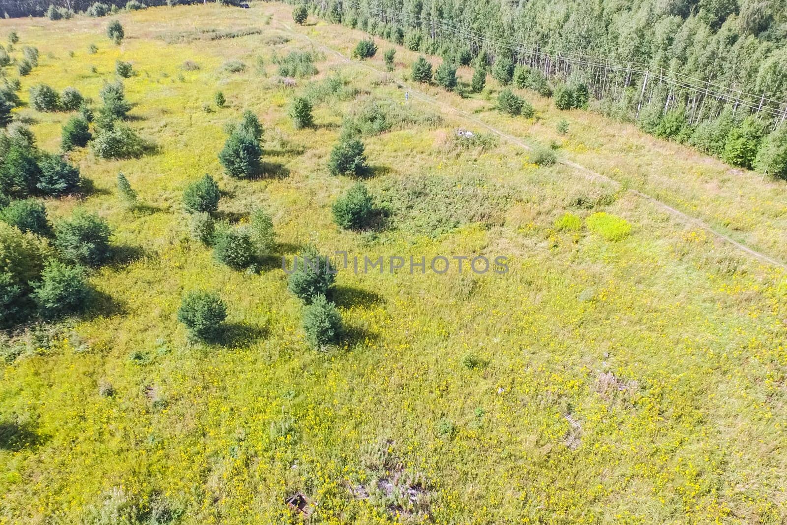 Top view of the village, fields and forests near the village