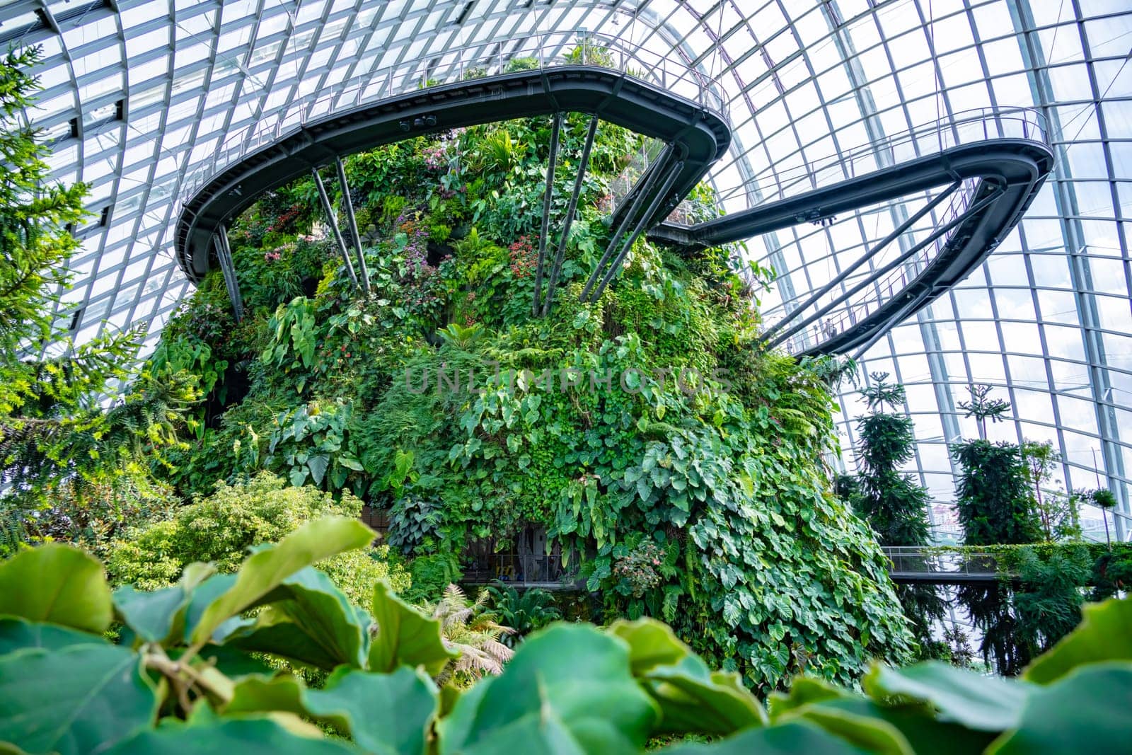 Cloud Forest in the Gardens by the Bay nature park in Singapore.