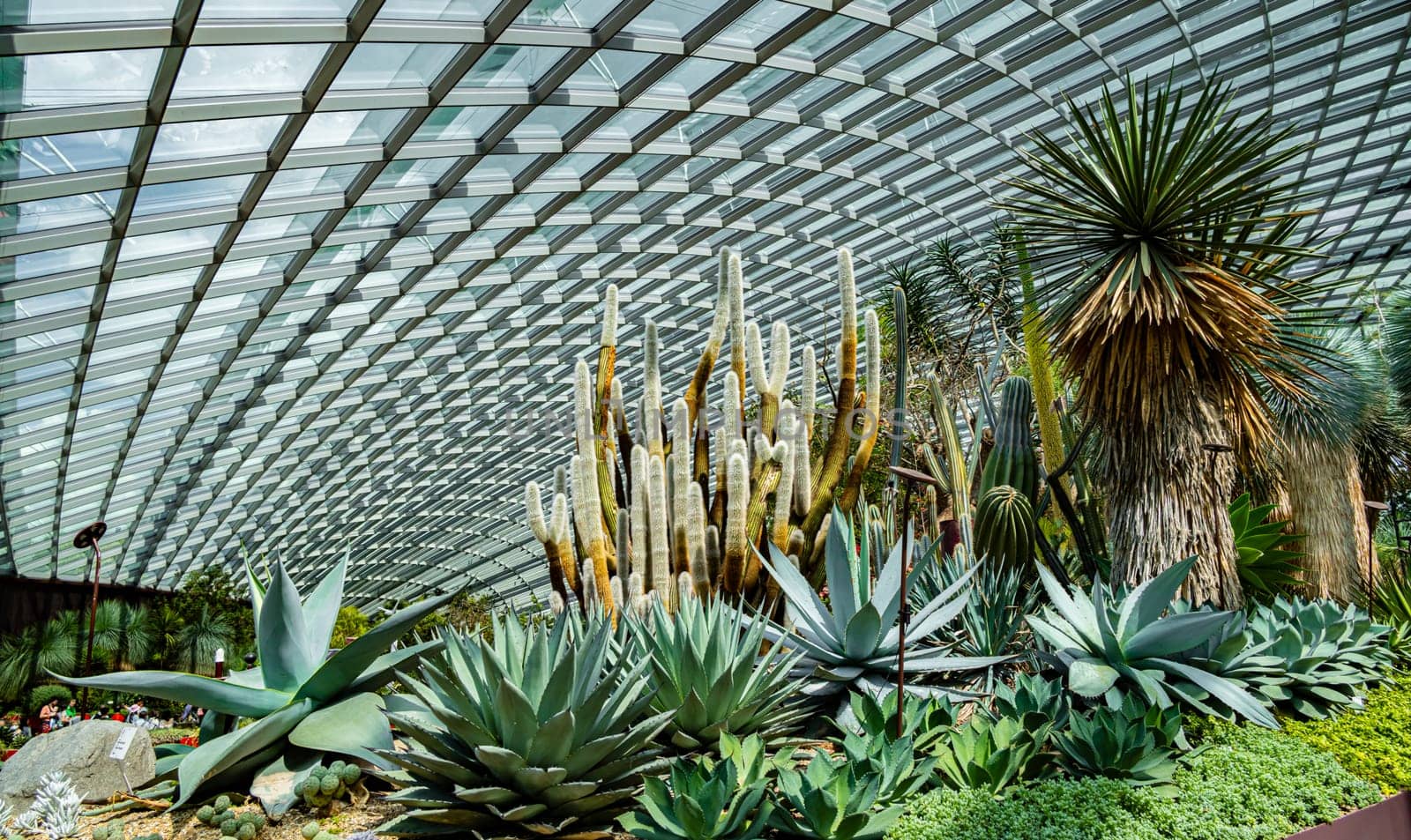 Interior of the Flower Dome in the Gardens by the Bay nature park in Singapore.