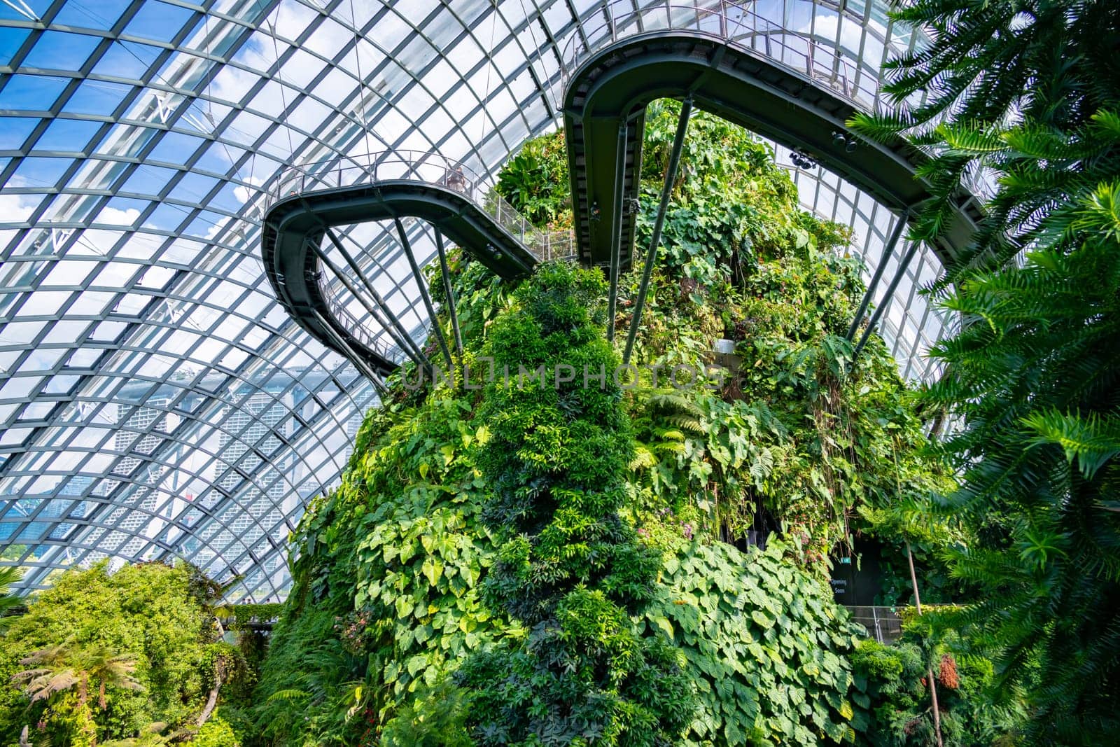 Cloud Forest in the Gardens by the Bay nature park in Singapore.