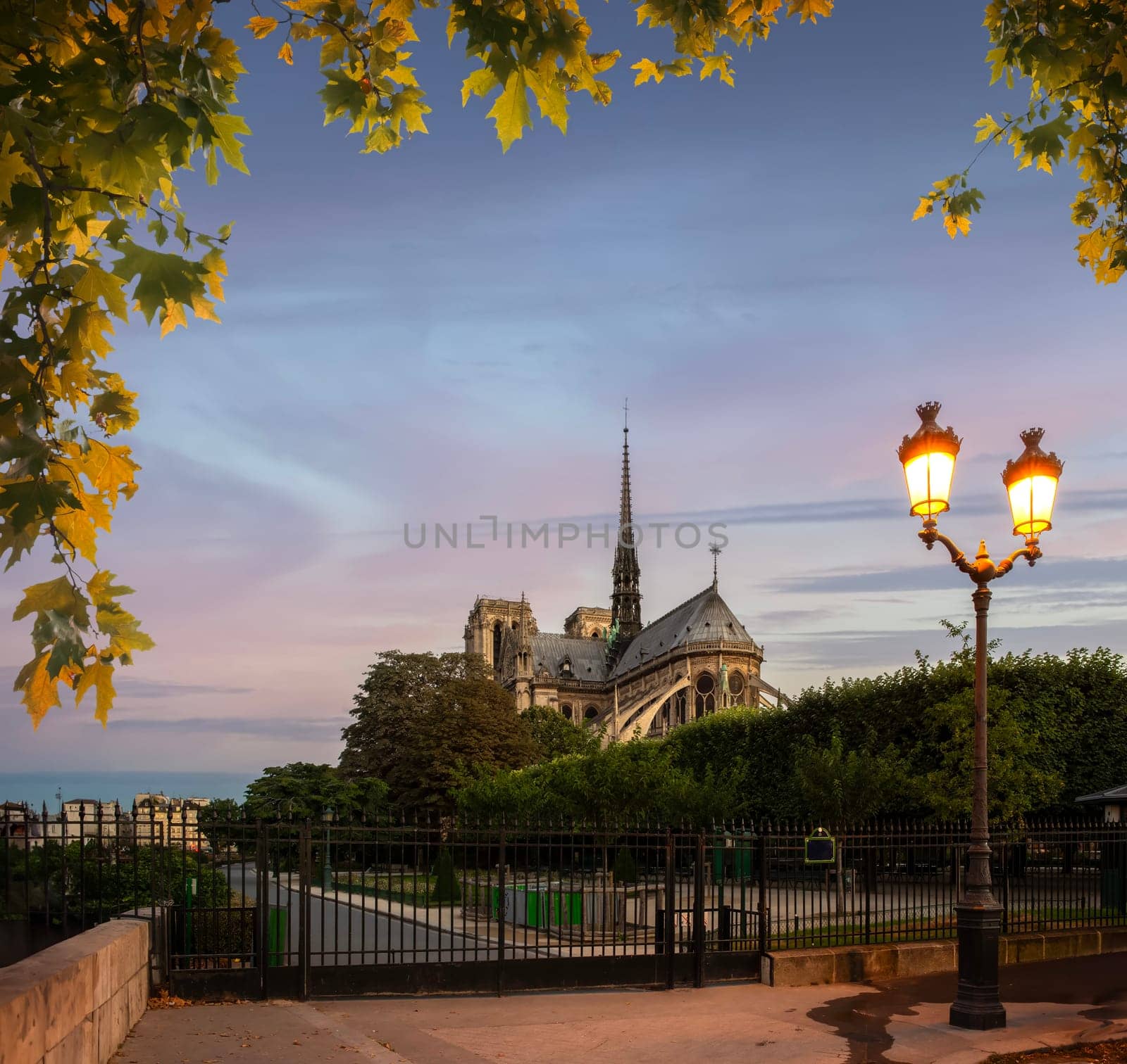 Notre Dame de Paris and park in early morning, France