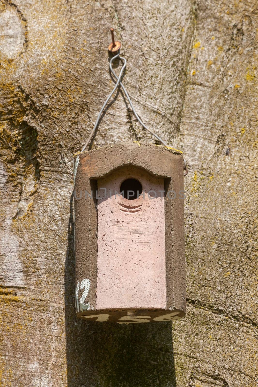 Wooden birdhouse hanging from a tree trunk, Germany