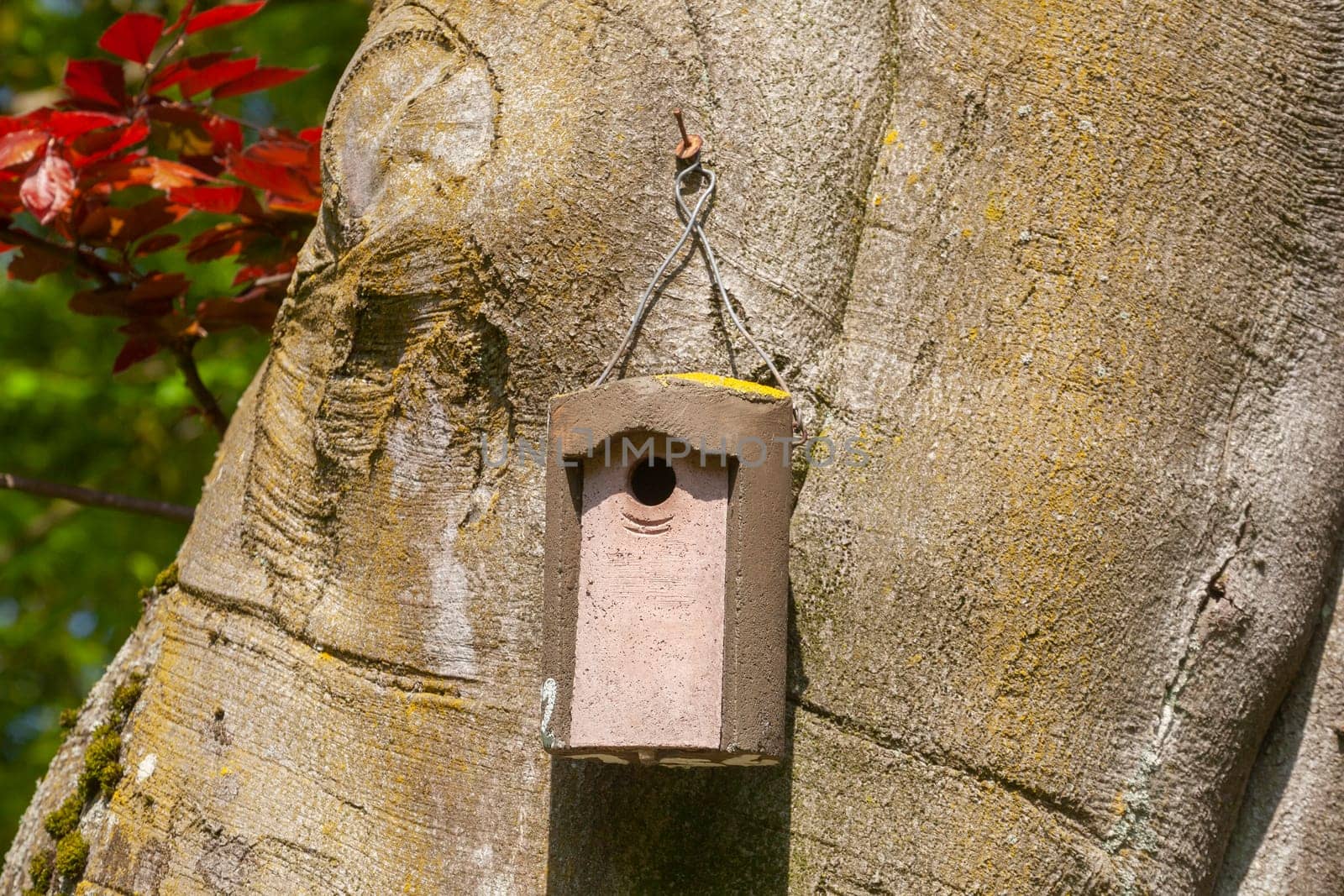 Wooden birdhouse hanging from a tree trunk, Germany