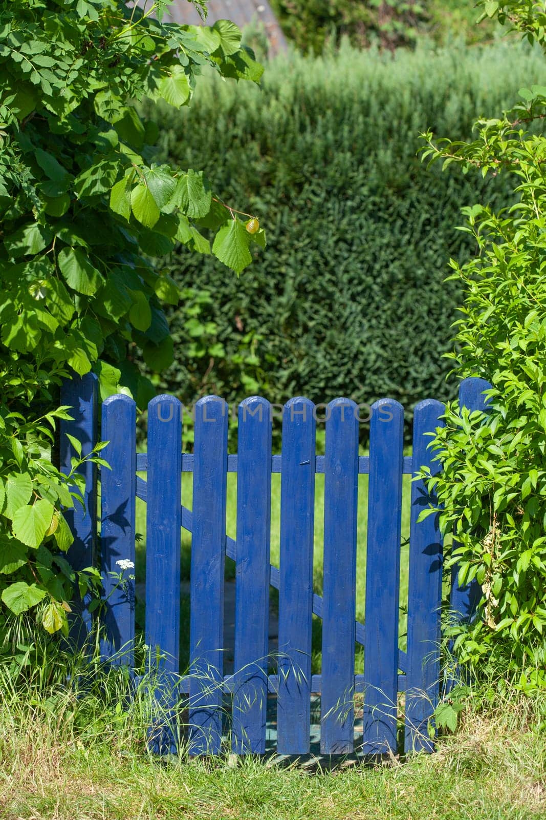 Blue wooden garden gate, Germany