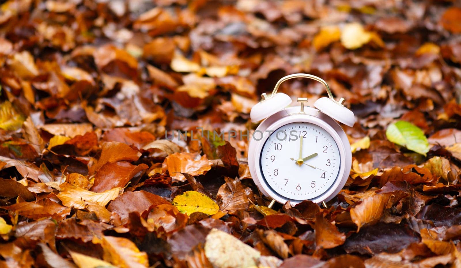 Alarm clock with autumn foliage, end of daylight saving time in fall, winter time changeover