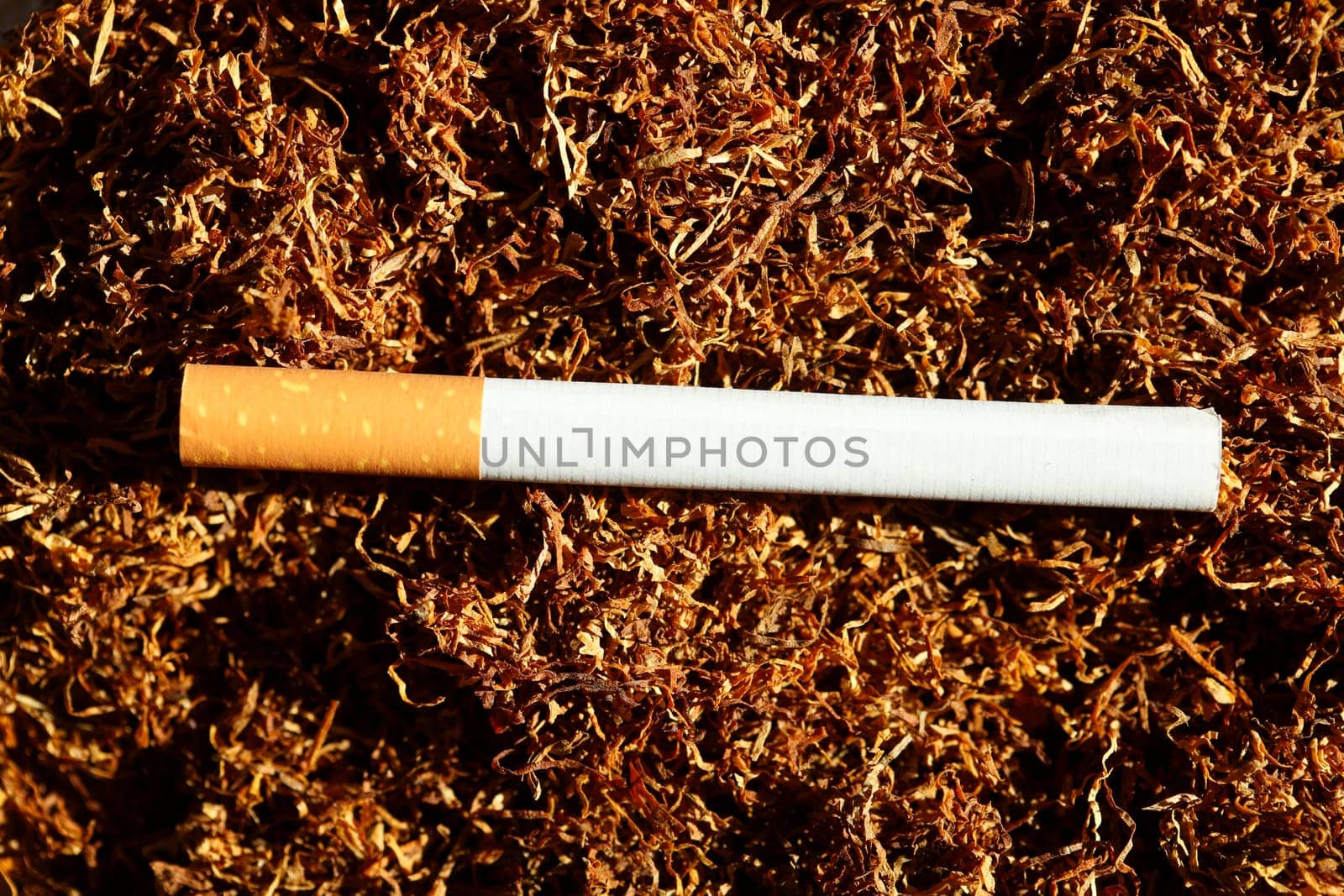 Cigarette lying on tobacco, Germany