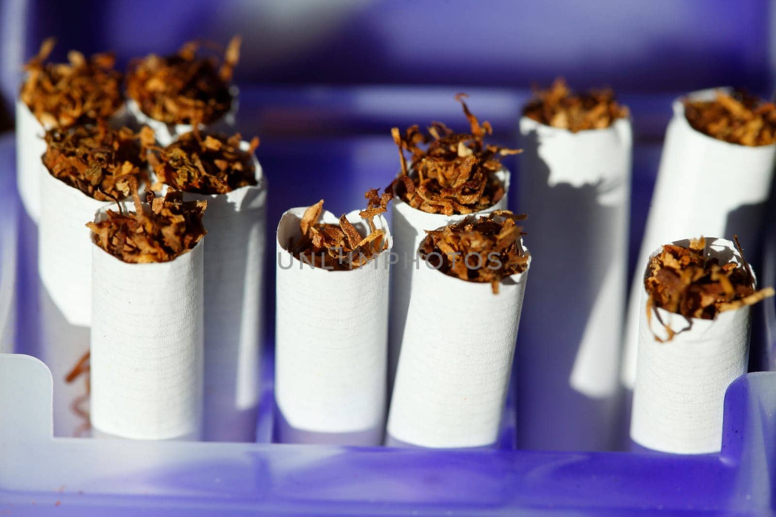 Cigarettes in a cigarette pack, Germany