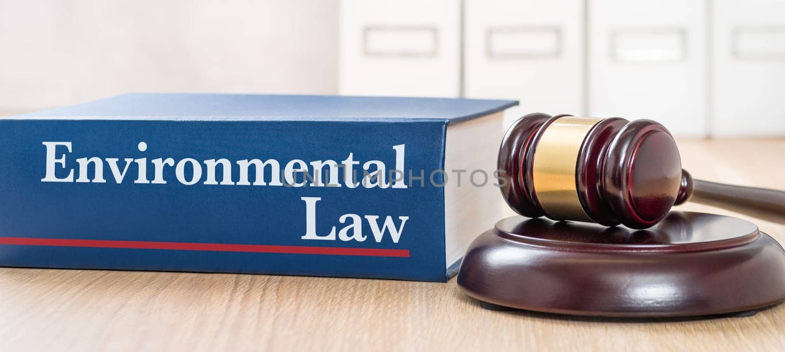 A law book with a gavel - Environmental law