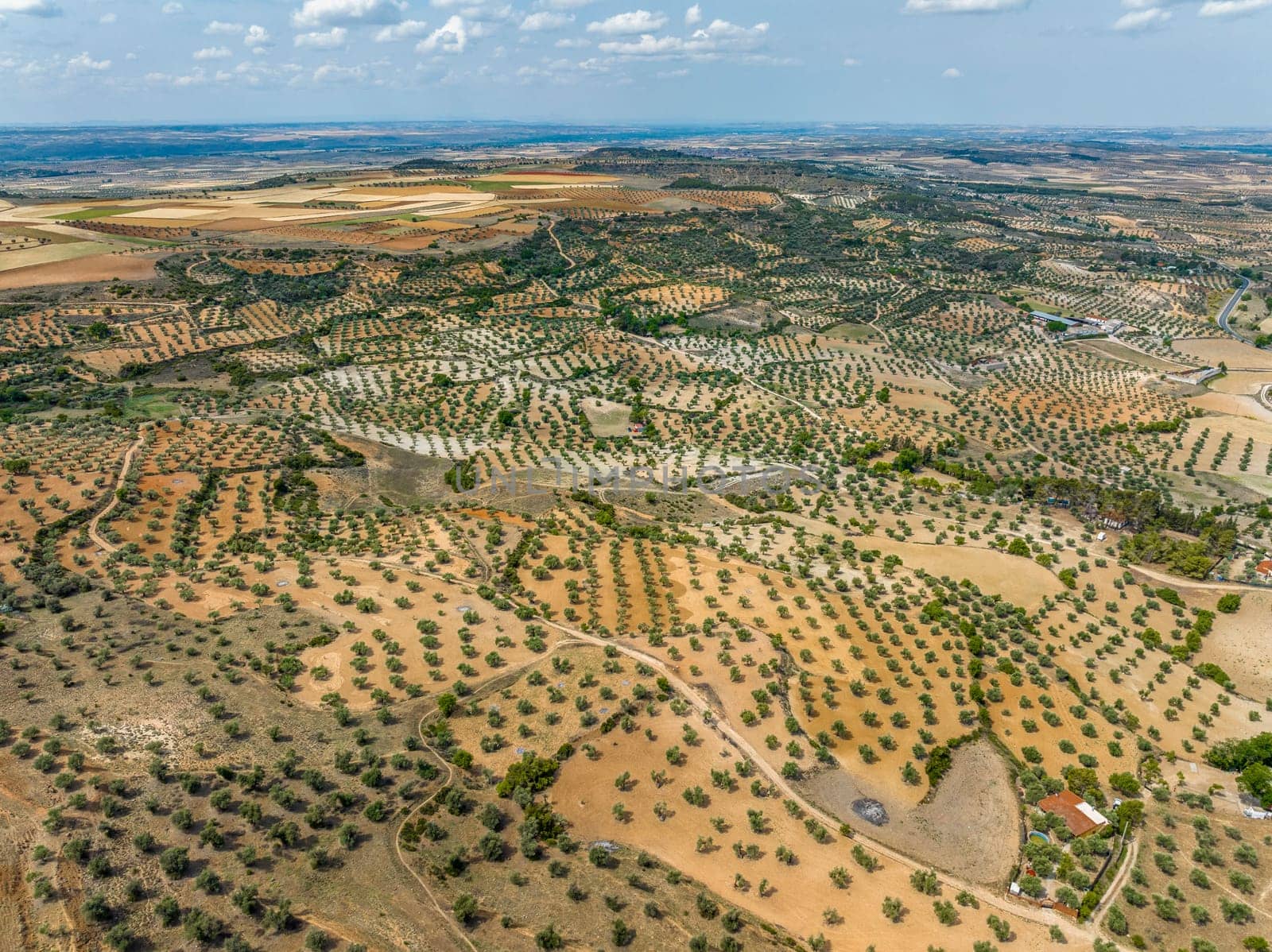 Aerial panoramic view of the olive fields in Chinchon, province of Madrid. cataloged as beautiful towns in Spain