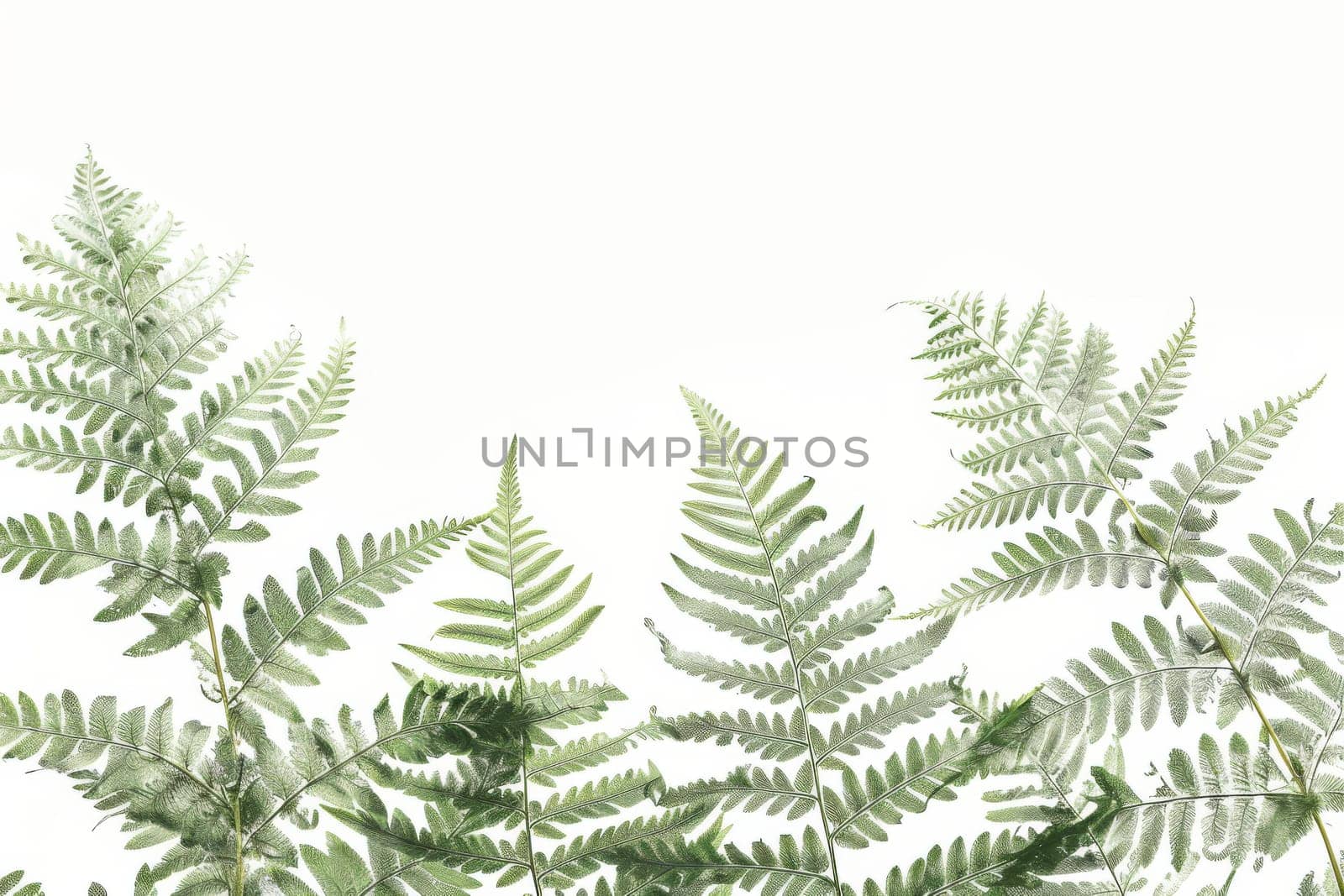 A close up of green leaves with a white background. The leaves are arranged in a way that creates a sense of depth and movement. The image conveys a feeling of growth and vitality
