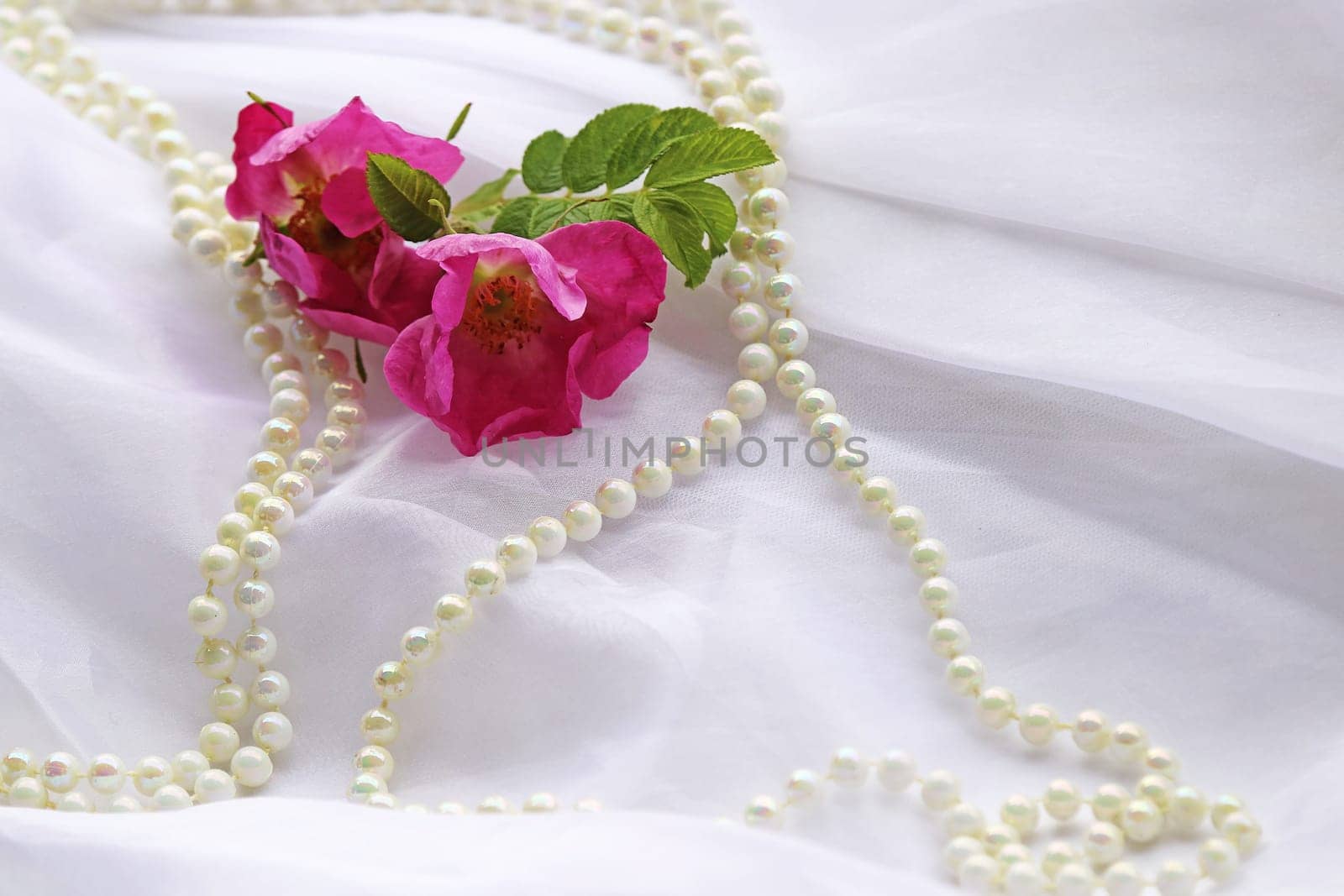 Delicate close-up of a wedding dress with roses and pearls