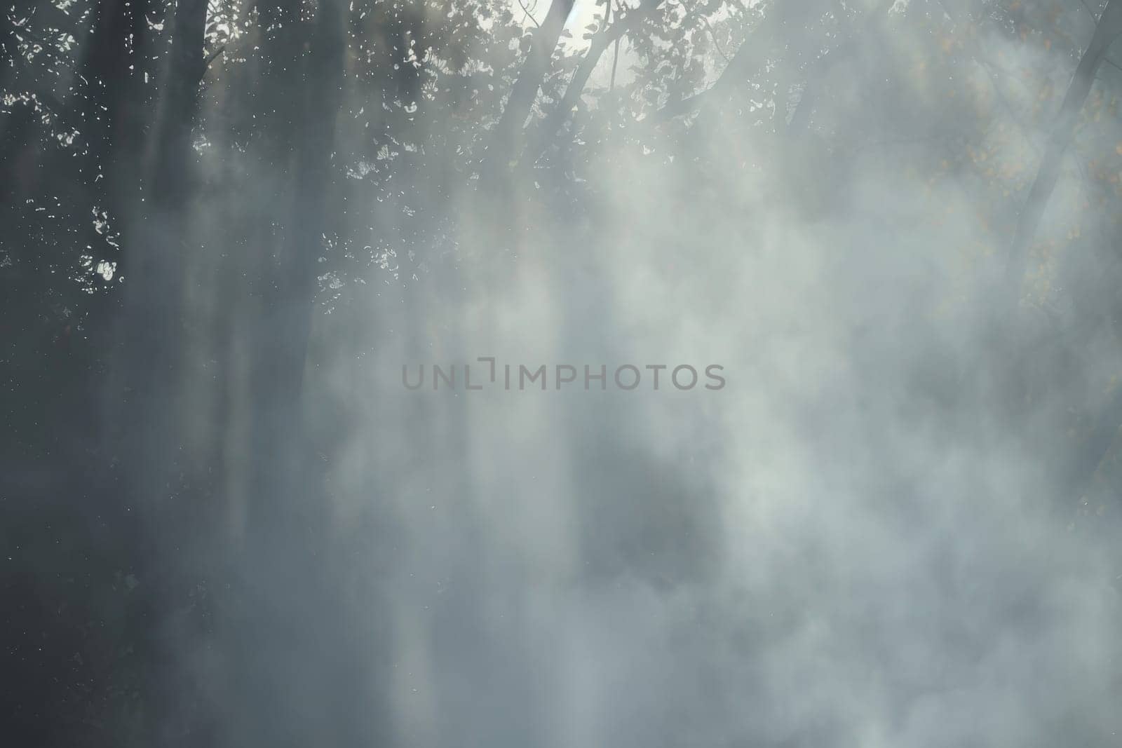 Wisps of fog in a misty forest