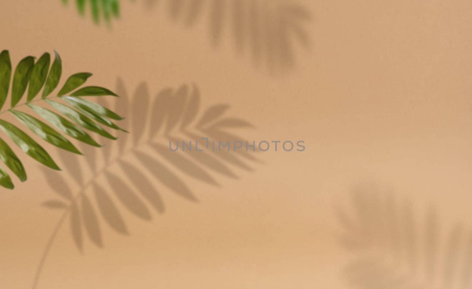 Abstract brown background with shadow from a palm tree branch with leaves, a place for displaying items, advertising and promotion