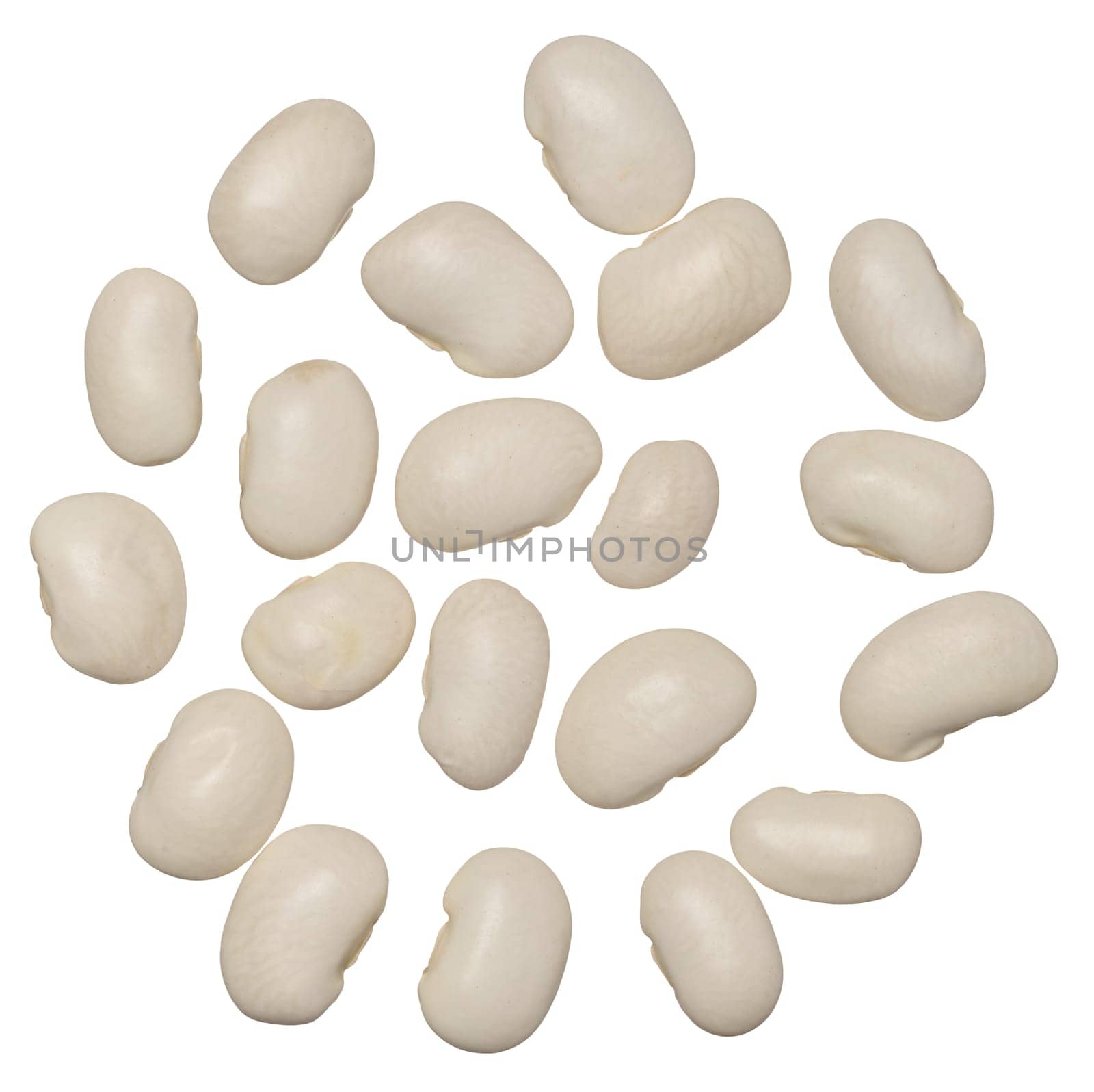 Raw white beans on isolated background, top view