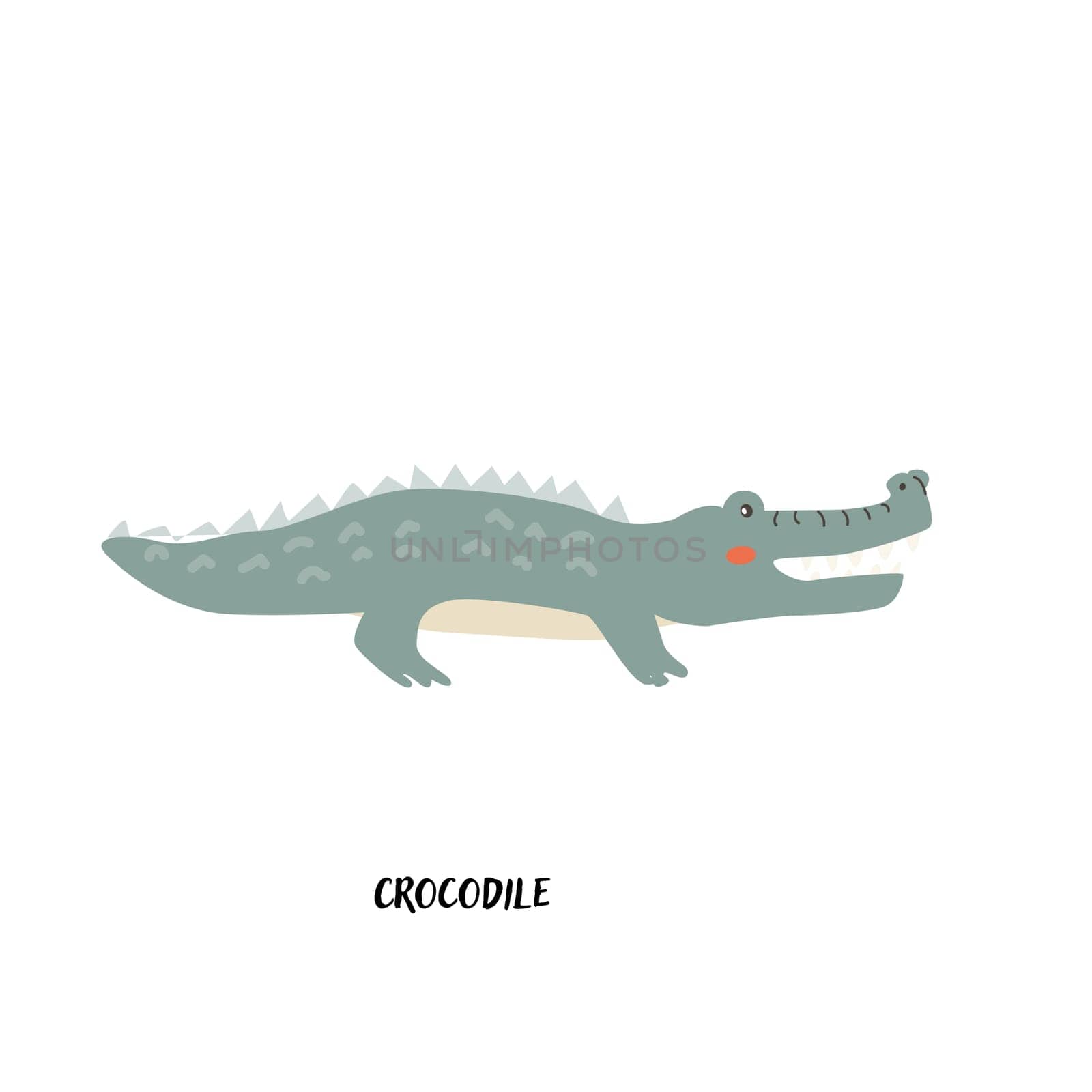 Childrens animal card for education. Kindergarten design. Cute african animal flash card on english language. Funny cartoon character crocodile poster for kids room with quotes.