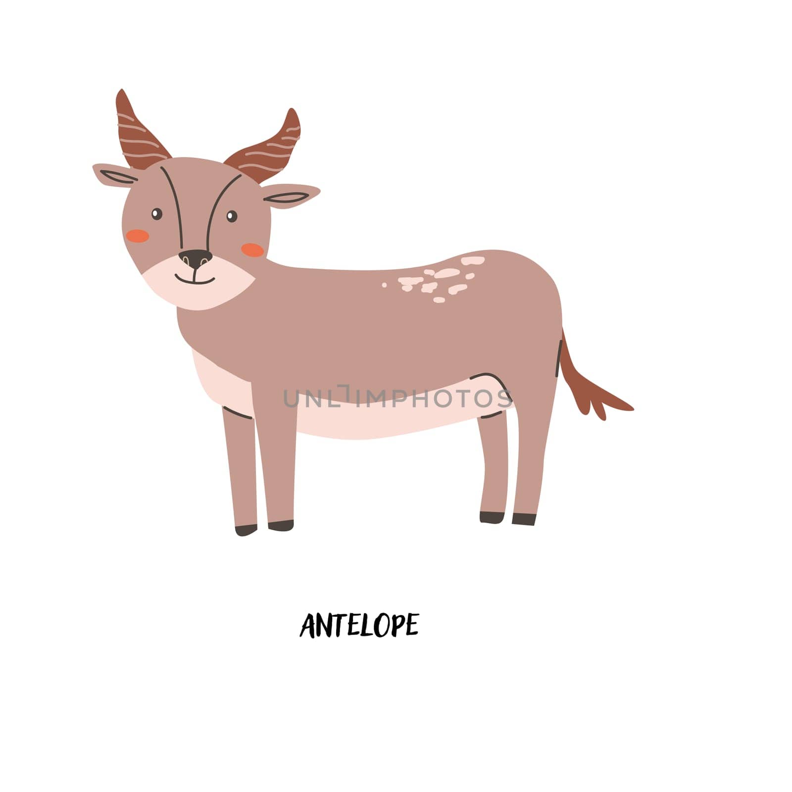 Childrens animal card antelope for education. Kindergarten design. Cute african animal flash card on english language. Funny cartoon character poster for kids room with quotes.