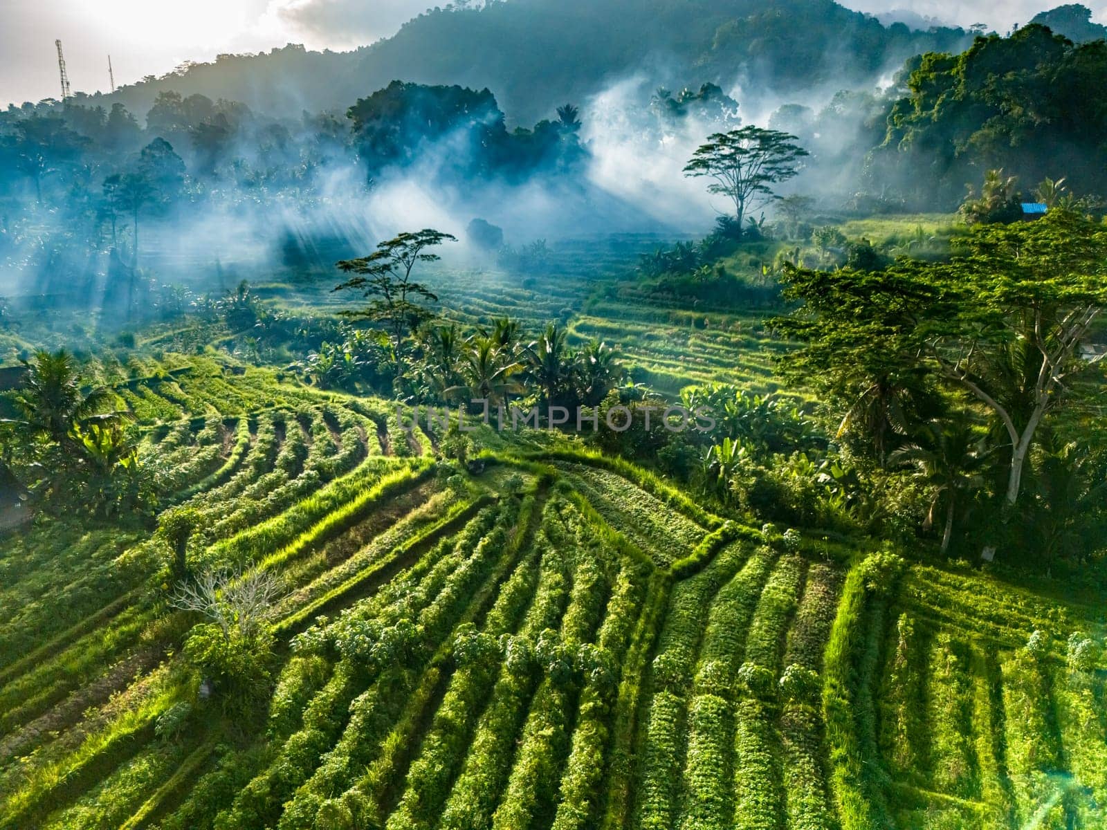 Agricultural landscape of Sidemen, in Karangasem Regency, Bali, Indonesia